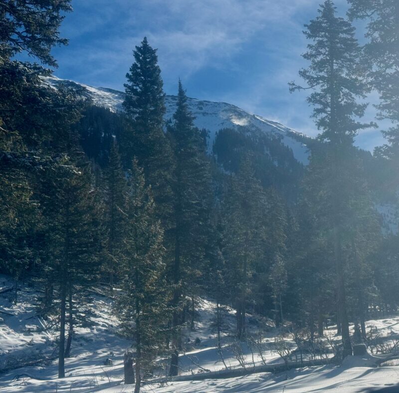 Wind Transport: Over a ridge and across-slope into a gully