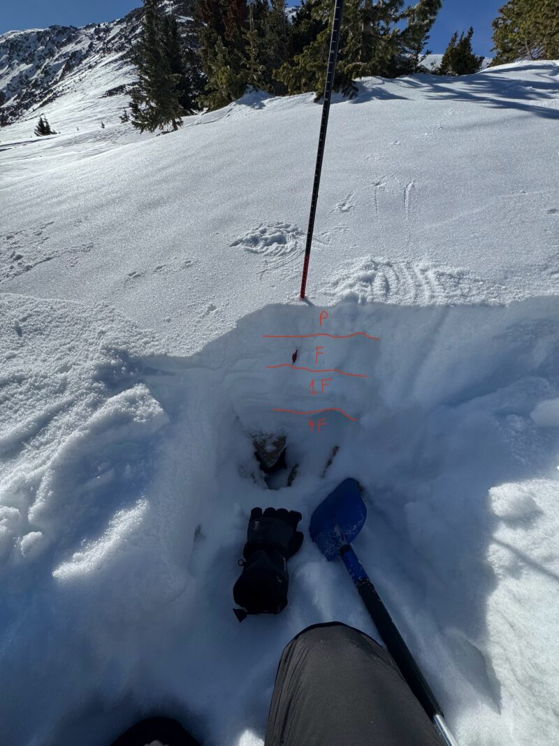 65 cm snow pack dug in snow pit located in La Cal Basin. Two distinct weak layers (F and 4F). Top layer hard and dense (P), middle layer dense slab (1F)