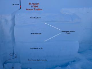 Dec 26, 2024: A strong example of a deeper area in our snowpack. Dense hard slabs observed atop multiple layers of facets.