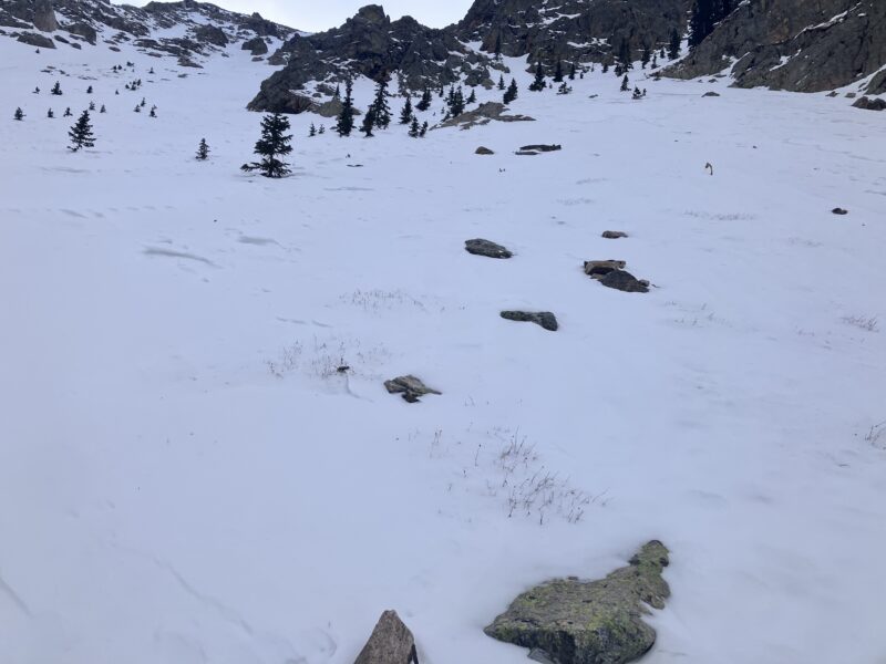 Some grass poking through at lower elevations