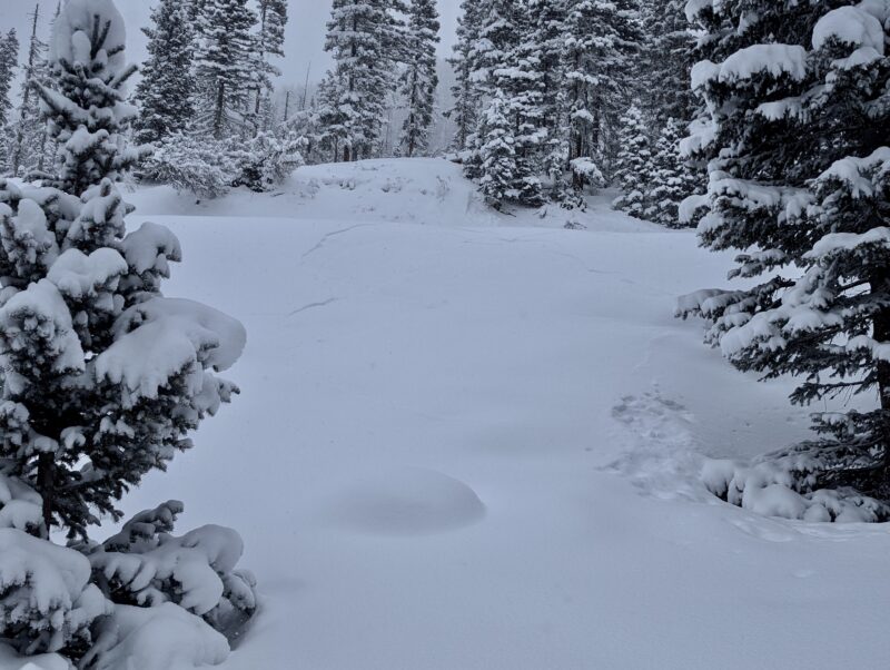 30 foot wide shooting crack on a road bank in below-treeline terrain