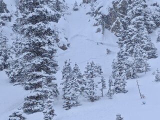 Small natural storm slab avalanche (D1) in near tree-line terrain.