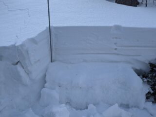 Feb 15, 2025: North Aspect on wind prone area below treeline.ECTP 2 on Depth Hoar about 40 - 50 cm down. Dense heavy snow and strong winds prior to and during the storm have created more cohesive slabs that rest on top of very weak facet and depth hoar layers that formed during the dry Nov-January.  