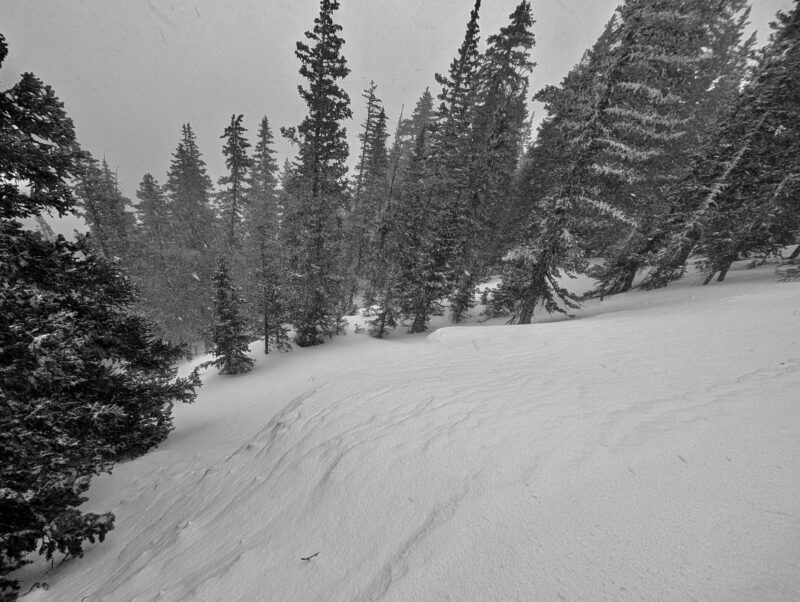 A drifted-in crown from a natural avalanche that propagated much wider than what's shown in this photo.