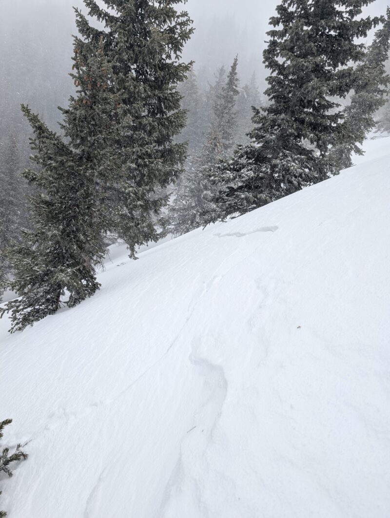 Shooting crack from the same collapse that led to the small avalanche described below. This crack was well over 100 feet wide.