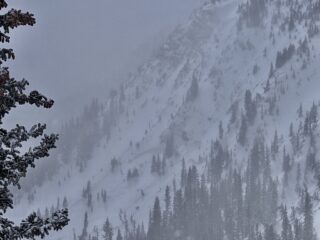 Mar 14, 2025: A better view of the wide crown of a large persistent slab avalanche that ran naturally during Friday's storm.