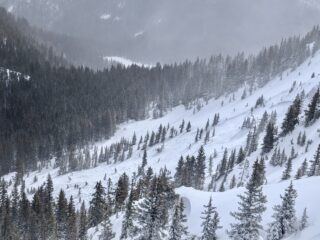 Mar 14, 2025: A natural persistent slab avalanche (D2.5) that broke mid-path on an East aspect near treeline. This avalanche broke several feet deep and 300+ feet wide, and ran out of sight into the flats below.