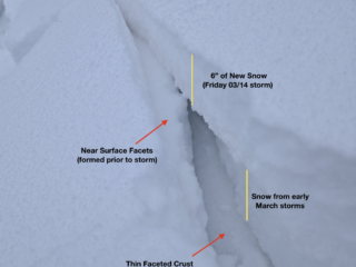 Mar 14, 2025: A small shooting crack on a North aspect below treeline revealing two weak layers near the surface.  Additional snowfall and wind may cause these layers to become more problematic in the coming days.