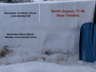 Dec 1, 2025: We're gradually building out the snowpack in the Northern Sangres, but it's still pretty shallow out there and the old snow has begun the usual process of faceting through vapor loss. We observed 1-2mm sugary snow grains near the ground in this particular spot.