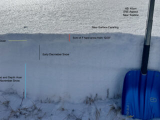 Dec 30, 2025: Snow from early December and middle of November continues to facet and turn into Depth hoar in our shallow snowpack. We observed a thin crust that separates the new snow from most recent storm on 12/27. This crust is not very thick, and we are observing advanced faceting just below this crust.  