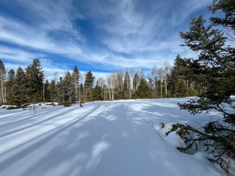 Typical northerly meadow, looks deeper than it actually is