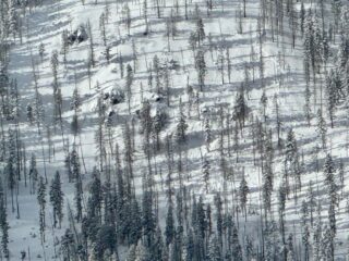 Jan 25, 2026: This is a natural avalanche on a ENE aspect in steep open exposed terrain below treeline that most likely happened on Saturday 1/24