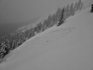 Jan 24, 2026: A look at the initial start zone of a persistent slab avalanche that we triggered on depth hoar from the flat ridge just out of frame. This avalanche (size 2) broke about 35cm deep and propagated several hundred feet wide in the mid-path area to the left of the photo, running about 800 vertical feet into the flats below.