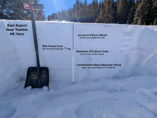 Jan 15, 2026: Even deeper areas of our snowpack still clock in at less than a meter to the ground and are rapidly faceting all throughout the pack, including our most recent storm Jan. 8-9
