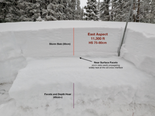 Jan 24, 2026: A below treeline snowpack. Reactive slabs had formed in this zone and were easily failing at the old snow interface on near surface facets. In many cases this led to avalanches that propagated widely and in some cases stepped down into the depth hoar layers.
