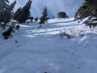 Feb 27, 2026: Looking up at part of the crown 2 - 3 feet deep failing on the December drought layer depth hoar. ENE aspect Near Treeline. This natural avalanche failed most likely on 2/25 or 2/26.