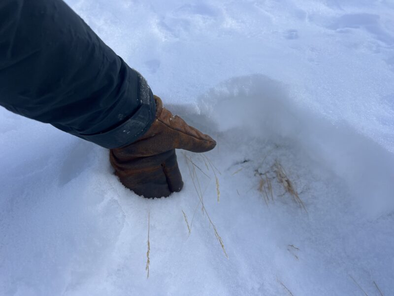 Depth near the bottom was less than 1 hand