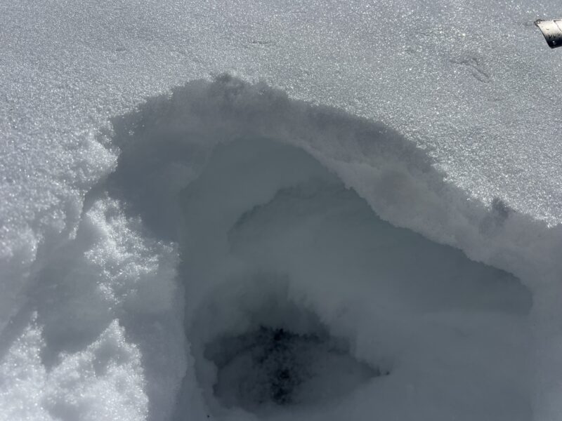 Mid-line crust over facets of two different sizes