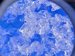 Feb 2, 2026: Our early season depth hoar continues to grow.  These are 3-6mm striated cups found near the ground on an East aspect at 12,000 ft.