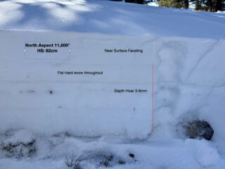 Feb 12, 2026: Northerly aspects near and below treeline are fully faceted with ski penetration close to the ground.