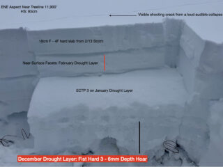 Feb 14, 2026: Dug this pit after a loud audible collapse. It really shows the variety of weak layers there are in the snowpack right now. This last storm from 2/13 built a slab on top where you are most likely to impact weak layers closer to the surface. With Strong winds and more snow in the forecast starting Tuesday, we suspect that we could see avalanches go to the ground. 